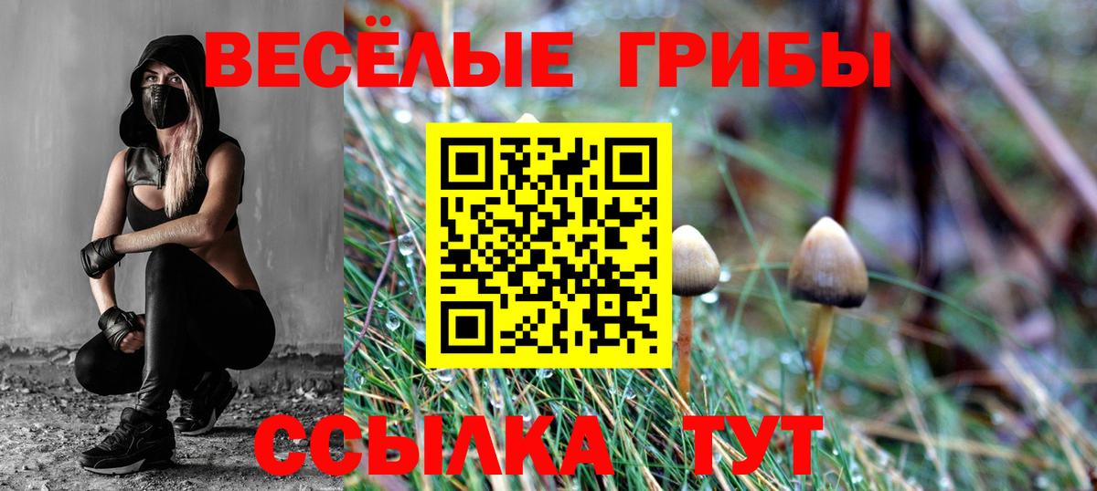 Армавир  хочу   Вход с VPN  Галлюциногенные грибы MAGIC MUSHROOMS 